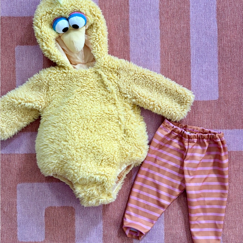 Pottery Barn Kids Yellow and Pink Costume